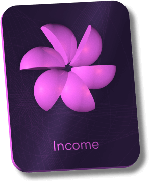 /assets/system/income-card.png